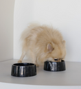 Load image into Gallery viewer, Noir Bowl
