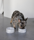 Load image into Gallery viewer, Onyx Blanc Bowl
